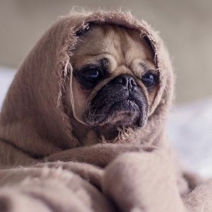 Meet your Posher, Gabriel